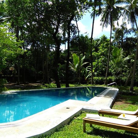 Hotel Botanique Goa à Assagao Extérieur photo