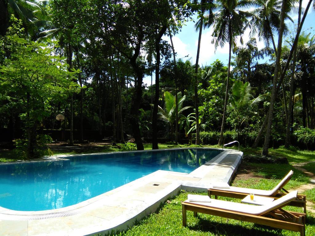 Hotel Botanique Goa à Assagao Extérieur photo