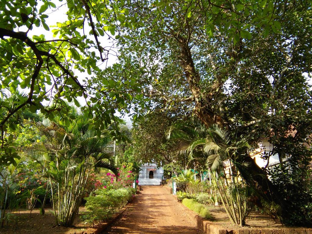 Hotel Botanique Goa à Assagao Extérieur photo